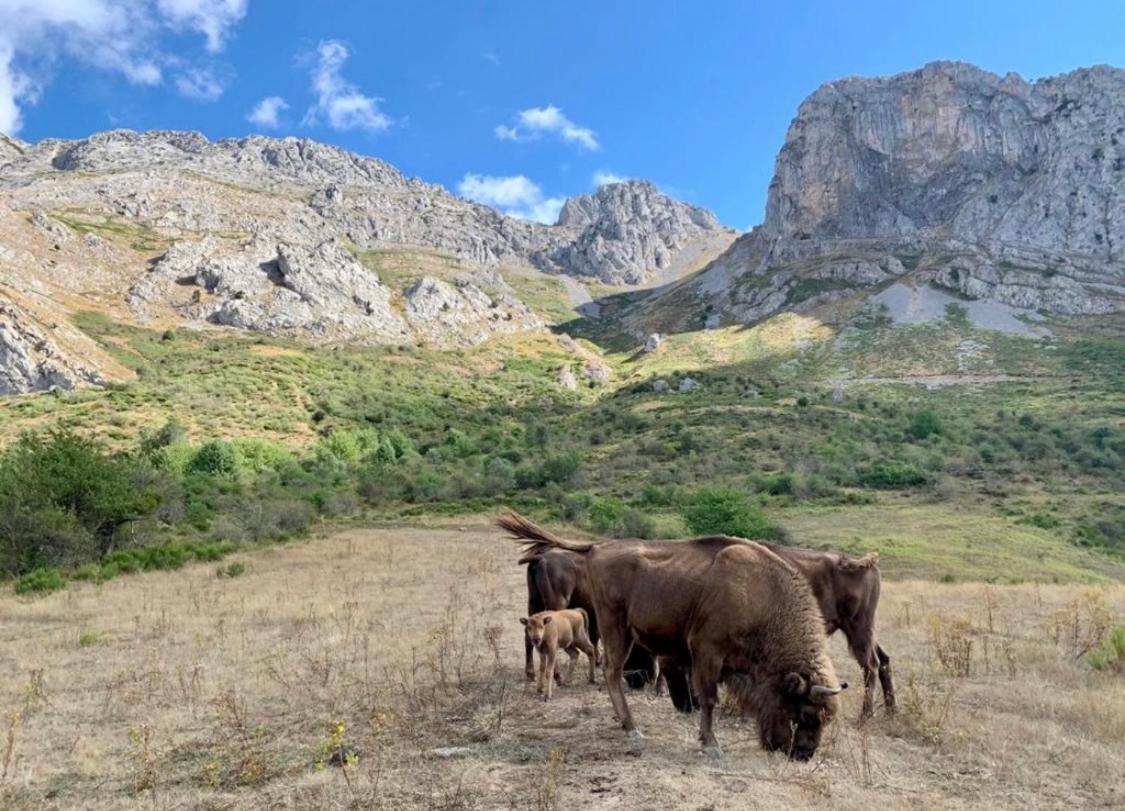 Los Toriles Los Espejos de la Reina Exteriör bild